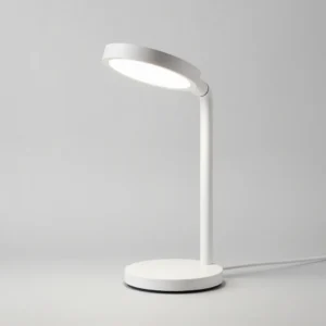 Flexible LED Desk Lamp
